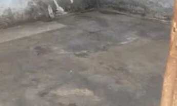 Imagem 3: São Paulo - Casa Padrão - Vila Socorro