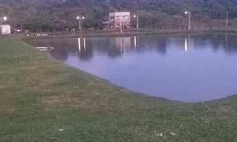 Imagem 5: 01 alqueire excelente para montar um pesqueiro em Trindade-GO