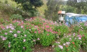 Imagem 4: SÃO SEBASTIÃO - Casa Padrão - TOPOLÂNDIA