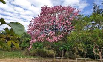 Imagem 5: Condições Imperdíveis de Financiamento Lotes no Parque das Águas de Serra Morena
