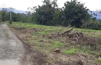 Imagem 2: Chácara à venda no bairro Cruz Alta - Morretes/PR