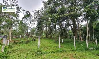 Imagem 7: Terreno à venda no bairro Vila das Palmeiras - Morretes/PR