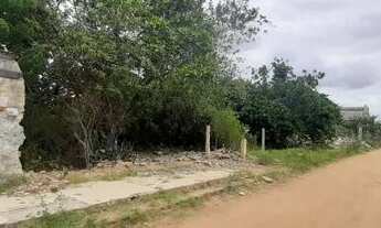 Imagem 6: Terreno com aproximadamente 3.000 m2 na AL 485 em Feira Grande/AL