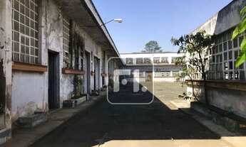 Imagem 5: Terreno à venda, 20000 m² por R$ 72.000.000,00 - Parque São Domingos - São Paulo/SP