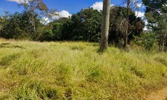 Imagem 3: Aluga-se pasto urbana e 2 terrenos comerciais direto acesso por BR 153 Jaiara/Anápolis