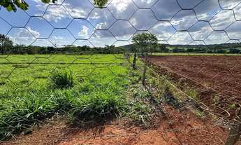 Imagem 2: Vendo Chácara Entre Goianira e Caturaí