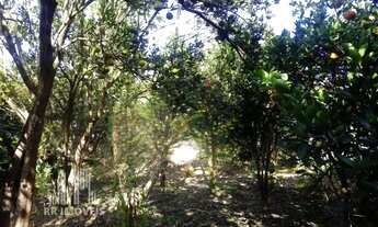 Imagem 6: RR8878 Chácara 1002m² CHÁCARA EM MAIRINQUE - OPORTUNIDADE - 1 Dormitório 5 Vagas - Mairinq