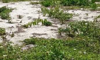 Imagem 2: Terreno 360m2 frente lagoa grande em Ponta da Fruta
