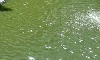 Imagem 3: Casa no Planalto