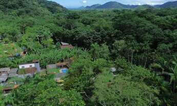 Imagem 3: Terreno à venda no Sertão de Camburi ? 3.000m² com escritura