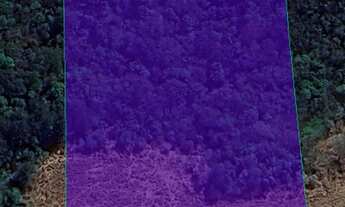 Imagem: Chácara Universitário 20.000m²