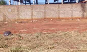 Imagem 7: Terreno para venda tem 300 metros quadrados em Residencial Viena - Quirinópolis - GO