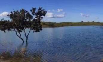 Imagem 3: Chácara 20 mil m2 - Ótimo de Peixe