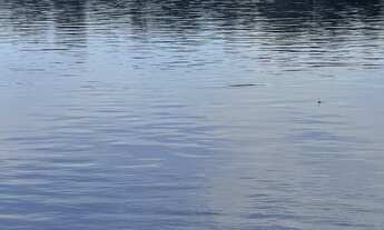 Imagem 7: Chacaras parceladas na serra grande 1 Cantá