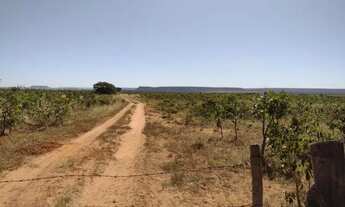 Imagem 7: FAZENDA TODA PLANA EM MAMBAÍ (GO) ? 950 ALQUEIRES
