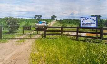 Imagem: Fazenda com 1.010 Alqueires no Mato Grosso