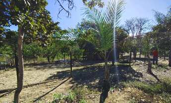 Imagem 7: Excelente Chácara de 4.5 Hectares Próximo a CPRV e Hotel Fazenda Aguas Emendadas