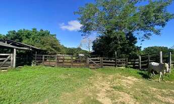 Imagem: Sitio 22ha Coxipó do Ouro