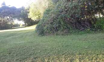 Imagem 6: Grande Sitio Chácara com venda com preço sob consulta