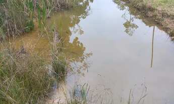 Imagem: Super 2,2 hectares 3 lagos casa sede 1km