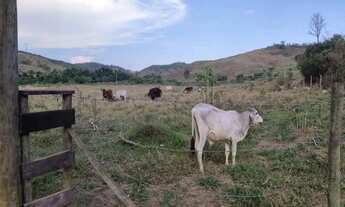 Imagem 7: Lote à venda, Área Rural de Ponte Nova - Ponte Nova/MG