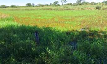 Imagem 4: Fazenda de 114,7 hectares toda plana, toda cercada no arame liso com Rio de grande porte