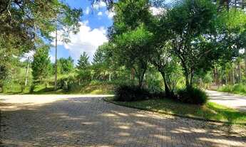 Imagem 3: Campo Largo, Ferraria, chácara 51.425m², na rotatória EcoUmbrella, acesso asfalto, esquina