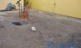 Imagem 4: VENDA DE CASA DUPLEX 4 QUARTOS NA PRAIA DO MORRO