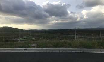 Imagem 2: Lote - Jardim dos Girassóis