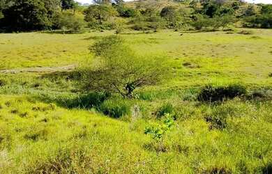 Imagem 2: Vende -se terreno Capela -Sergipe