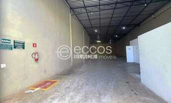 Imagem 4: Imóvel Comercial para aluguel, 3 vagas, Custódio Pereira - Uberlândia/MG