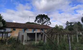 Imagem 5: Sítio Zaduski Chácara com venda por R$250.000