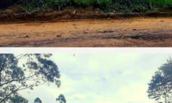 Imagem: Terreno 1000m² - Localização São Roque