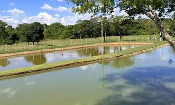 Imagem 6: Chácara a venda em Heitorai - Goiás!!!