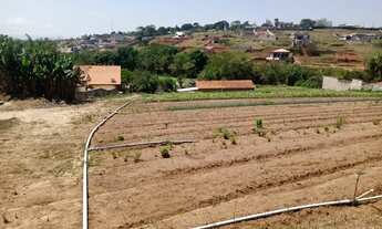 Imagem 3: Venda: Chácara Espetacular A Oportunidade que Você Esperava