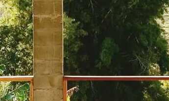 Imagem 6: Vende se Chácara no Boa Vista Sítio Boa Esperança