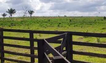 Imagem 3: Fazenda com título definitivo e matrícula