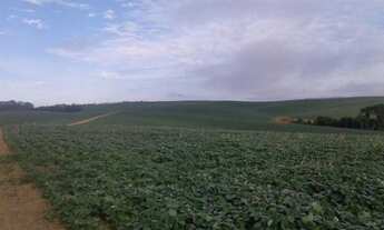 Imagem: Vende se Linda Fazenda 95,19 alqueires