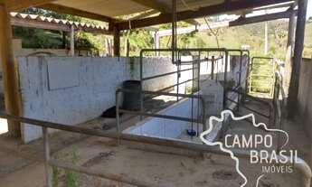 Imagem 3: Campo Brasil Imóveis, realizando seu sonho rural! Sítio de 32aq em Monteiro Lobato!