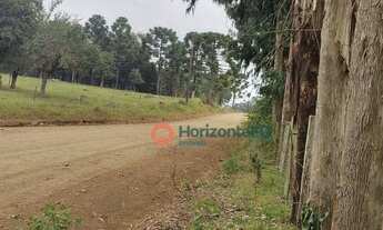 Imagem 3: Chácara à venda, 9 Alqueires por R$ 300.000 - Zona Rural - Pinhão/PR