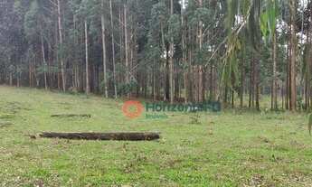 Imagem 5: Chácara à venda, 9 Alqueires por R$ 300.000 - Zona Rural - Pinhão/PR