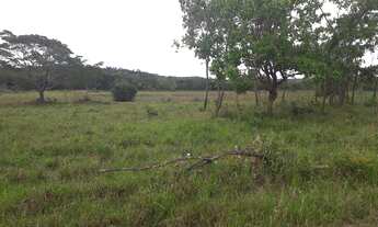 Imagem: FAZENDINHAS com Terra roxa, 5x R$5.600,00