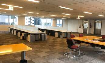 Imagem 5: Conjunto para alugar, 507 m² - Jardim Paulistano - São Paulo/SP