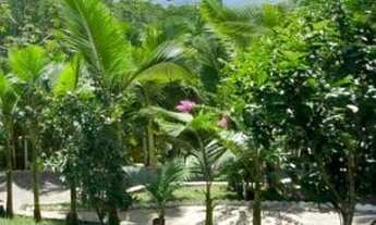 Imagem: Sítio palhoça