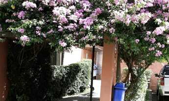 Imagem: Apartamento fazenda morumbi