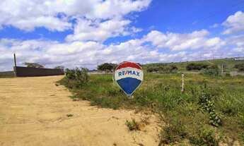 Imagem 2: Área à venda, 2717 m² por R$ 250.000,00 - Severiano Moraes Filho - Garanhuns/PE