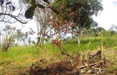 Imagem 7: Terreno à venda, 1450 m² por R$ 80.000,00 - Buquirinha - São José dos Campos/SP