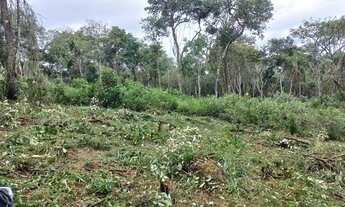 Imagem: 22 Lotes de 500m² em Ibiúna-SP - Campo