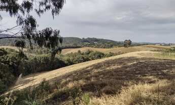 Imagem 3: Terreno rural Terreno / lote com venda por R$290.000