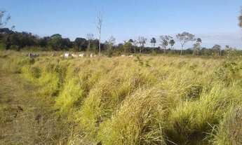 Imagem 2: Fazenda a venda no paranã no Tocantins